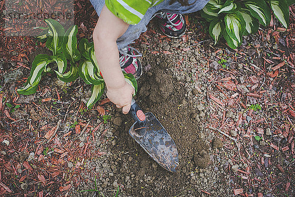 Hochwinkelansicht eines Mädchens  das im Garten mit einer Kelle Erde gräbt