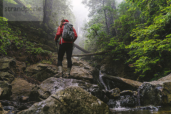 Rückansicht einer Frau mit Rucksack  die auf Felsen im Wald geht
