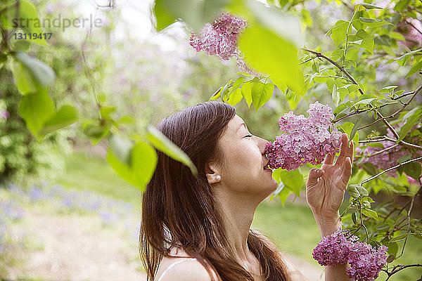 Seitenansicht einer schönen Frau  die im Park an Blumen riecht