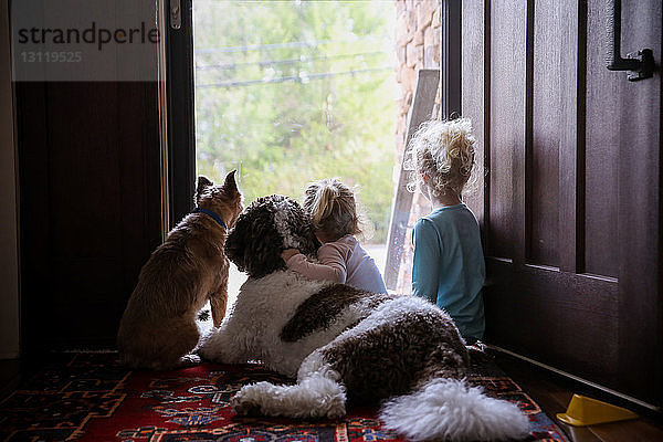 Rückansicht von Schwestern  die mit Hunden an der Tür sitzen