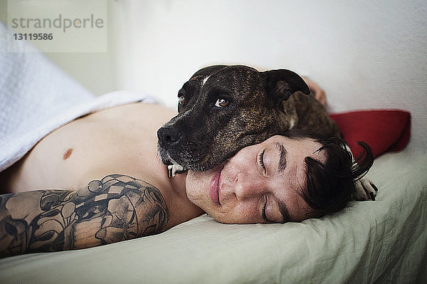 Porträt eines Hundes  der auf dem Gesicht eines Mannes liegt  während er sich im Schlafzimmer entspannt