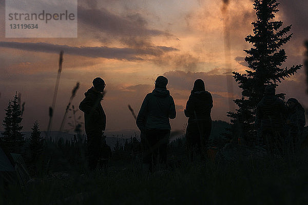 Scherenschnitt-Freunde stehen auf Feld gegen Himmel