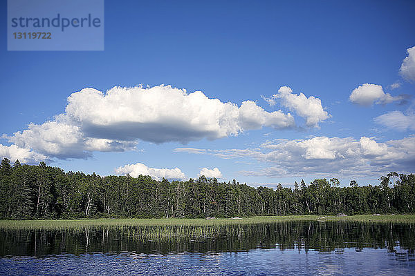 Landschaftliche Ansicht von Bäumen und See vor blauem Himmel