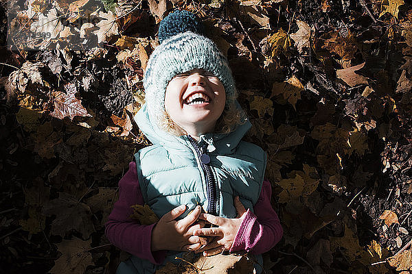 Hochwinkelaufnahme eines niedlichen Mädchens mit Händen auf dem Bauch  das lacht  während es auf herabgefallenem Herbstlaub liegt