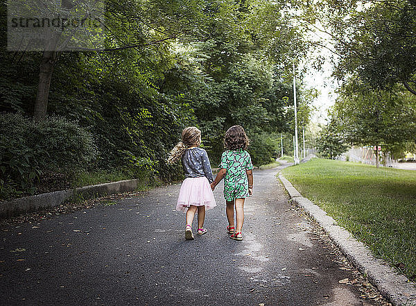 Rückansicht von Mädchen  die beim Spaziergang im Park Händchen halten