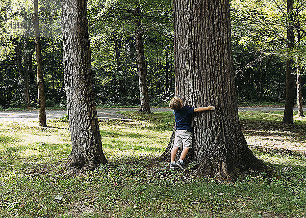 Junge umarmt Baum  während er auf Grasfeld im Wald steht