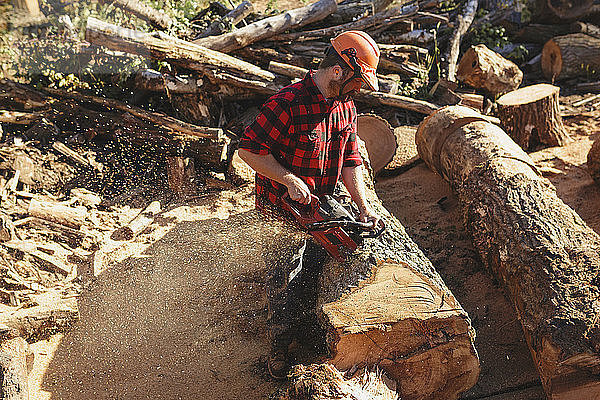 Seitenansicht eines Holzfällers beim Holzschneiden mit der Kettensäge
