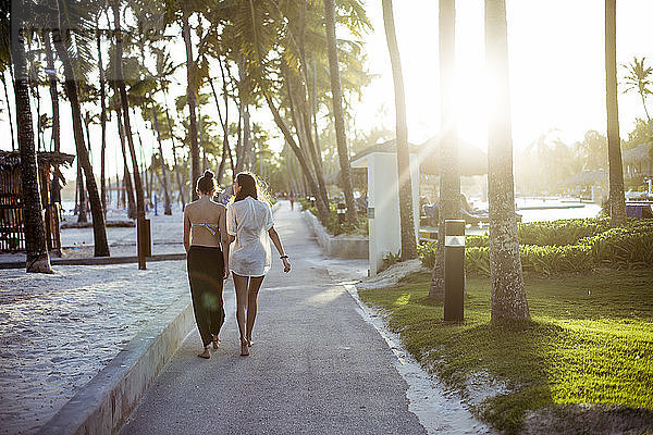 Rückansicht von Freunden  die am sonnigen Tag auf einem Pfad inmitten von Palmen am Strand spazieren