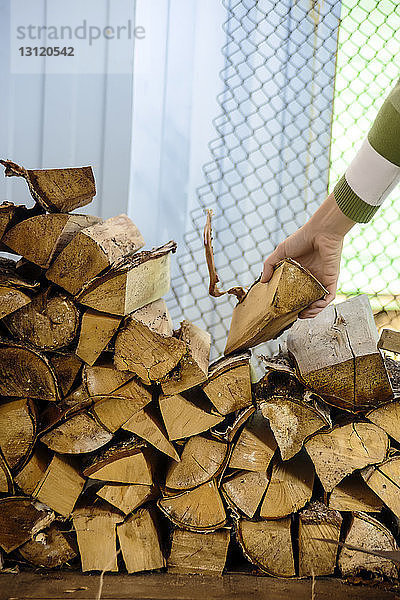 Beschnittenes Bild einer Frau beim Sammeln von gehacktem Brennholz