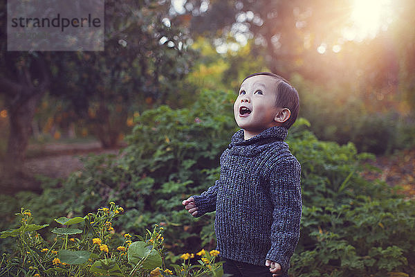 Süßer verspielter kleiner Junge mit offenem Mund  der im Park an Pflanzen steht