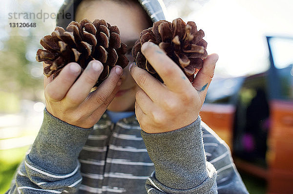 Junge mit Kapuzenhemd  der Kiefernzapfen hält