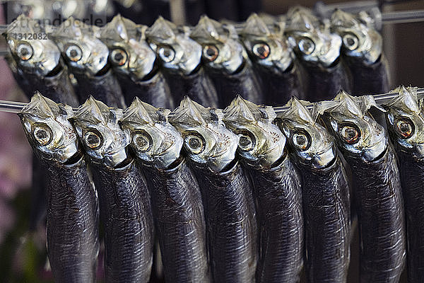 Fischtrocknung auf Kabeln im Freien