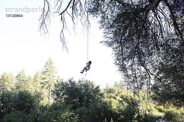 Mädchen schwingt auf Seilschaukel im Wald gegen klaren Himmel
