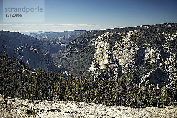 Hochwinkelansicht von Bäumen und Bergen im Yosemite-Nationalpark gegen den Himmel