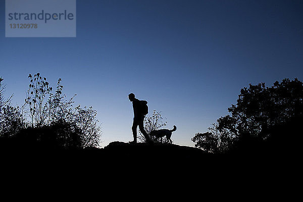 Scherenschnitt eines Mannes  der mit Hund auf dem Feld vor klarem  blauem Himmel spazieren geht