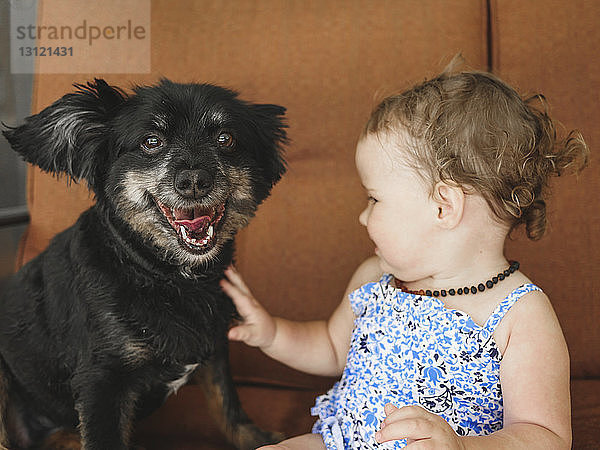 Nahaufnahme eines süßen kleinen Mädchens  das seinen Hund berührt  während es zu Hause sitzt