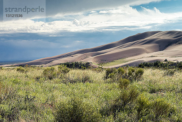 Idyllische Ansicht der Wüste vor bewölktem Himmel im Great Sand Dunes National Park mit Pflanzen auf dem Feld im Vordergrund