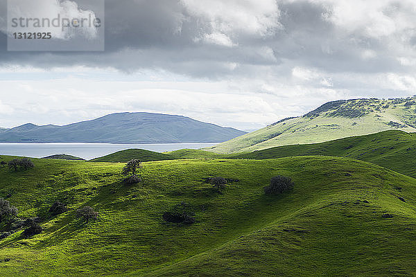 Landschaftsbild einer grünen Landschaft am Fluss vor bewölktem Himmel