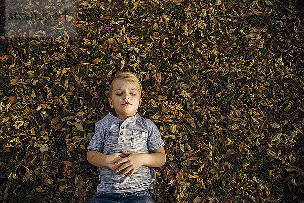 Hochwinkelaufnahme eines Jungen  der im Park auf herabgefallenem Herbstlaub liegt