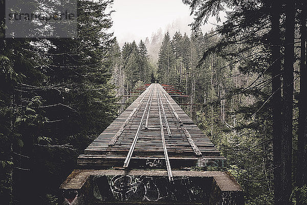 Verlassene Eisenbahnbrücke inmitten von Bäumen im Wald