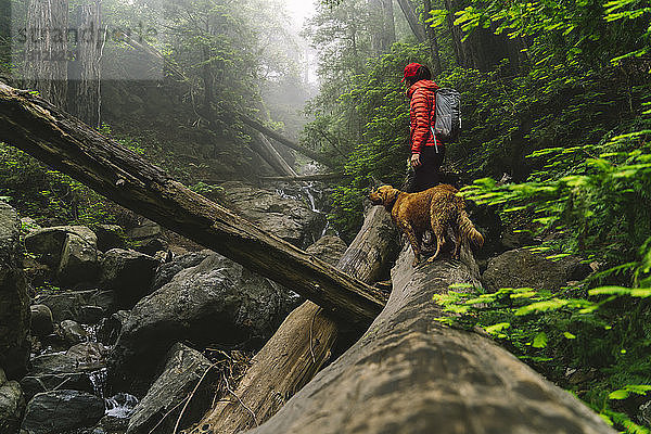 Seitenansicht einer Frau mit Hund auf einem Baumstamm im Wald stehend