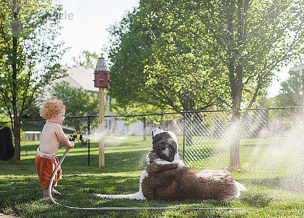 Seitenansicht eines Jungen ohne Hemd  der mit einem Schlauch Wasser auf einen Hund spritzt  während er im Hof steht