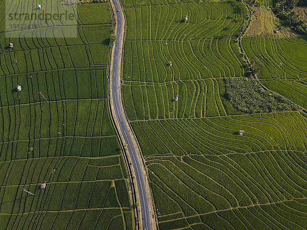 Luftaufnahme einer leeren Straße inmitten eines landwirtschaftlichen Feldes