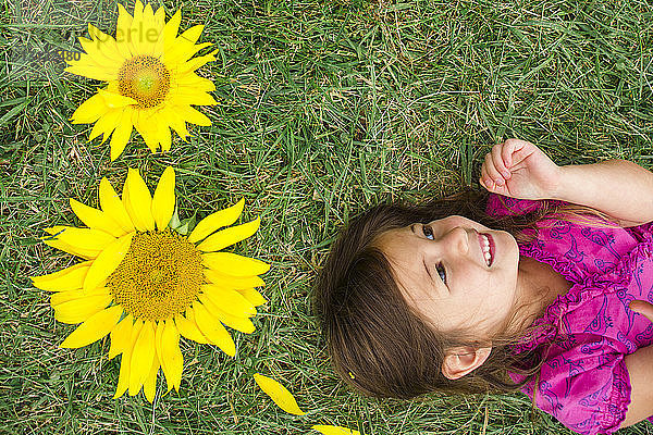 Hochwinkelansicht eines niedlichen glücklichen Mädchens  das neben Sonnenblumen auf einem Grasfeld liegt