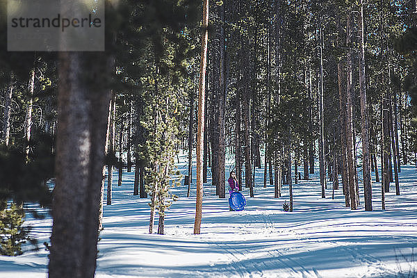 Mitteldistanzansicht eines Mädchens  das einen Plastikschlitten hält  während es auf einem verschneiten Feld inmitten von Bäumen steht