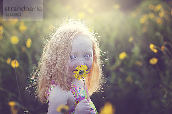 Porträt eines süßen Mädchens mit gelber Blume auf dem Feld bei sonnigem Wetter