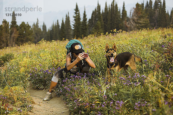 Frau fotografiert Hund mit Mobiltelefon  während sie auf dem Feld im Wald kauert