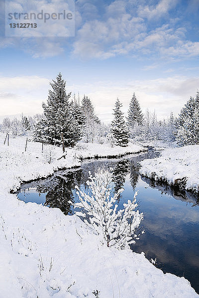 Ruhiger Blick auf Bäume am Bach inmitten eines schneebedeckten Feldes