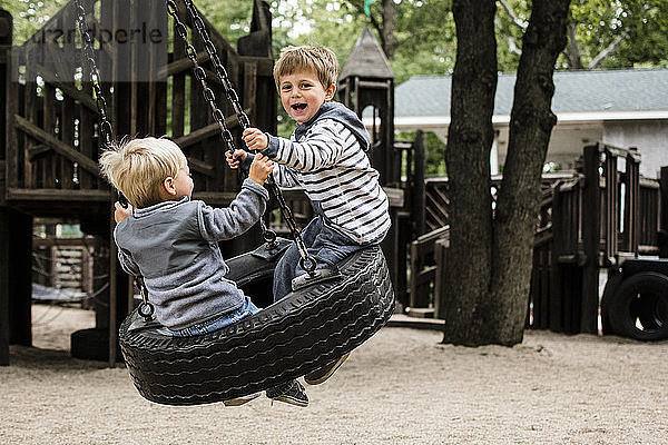 Glückliche Brüder genießen auf der Reifenschaukel auf dem Spielplatz