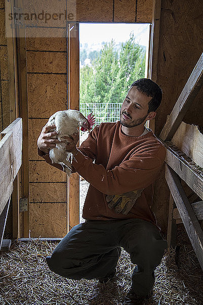 Mann hält Henne  während er im Tierstall kauert
