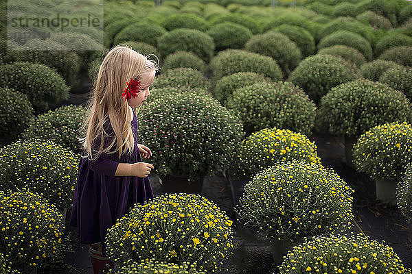 Seitenansicht eines Mädchens mit Gerbera-Gänseblümchen  das inmitten von Topfpflanzen steht