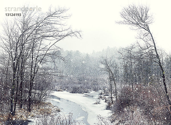 Bach fließt bei Schneefall inmitten kahler Bäume im Wald
