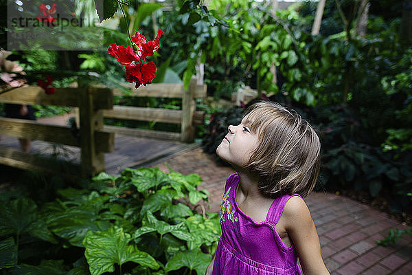 Mädchen macht ein Gesicht  während sie im Garten Hibiskus anschaut