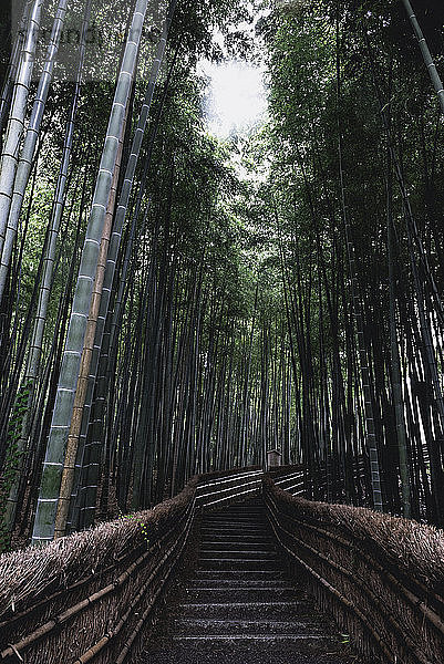 Stufen inmitten einer Bambusrille in Arashiyama