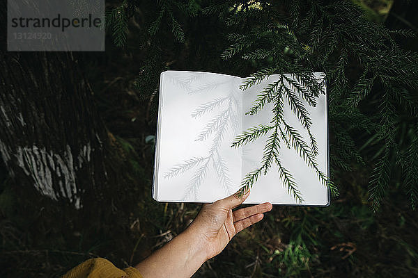 Abgehackte Hand einer Frau  die ein Buch über Pflanzen im Wald hält