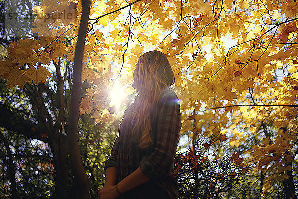 Niedrigwinkel-Ansicht einer Frau  die am Herbstbaum im Park steht
