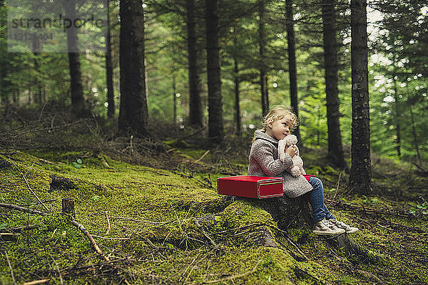 Mädchen umarmt Plüschtier  während sie auf Baumstumpf im Wald sitzt