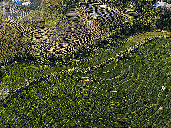 Luftaufnahme eines landwirtschaftlichen Feldes