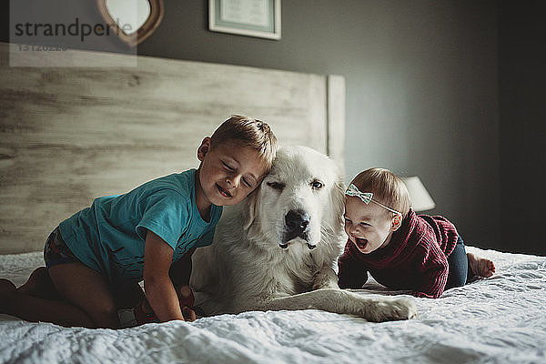 Geschwister spielen zu Hause im Bett mit den Großen Pyrenäen