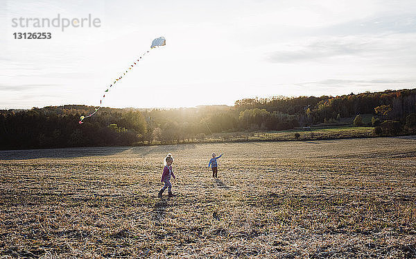 Bruder fliegt Drachen  während die Schwester auf dem Feld gegen den Himmel läuft