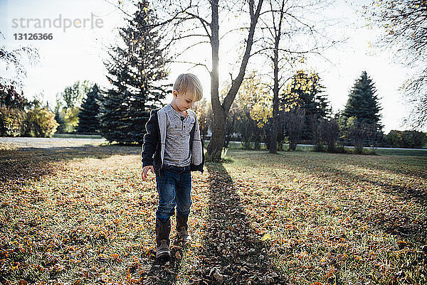 Junge in voller Länge betrachtet gefallenes Herbstlaub im Park
