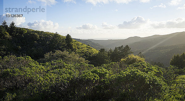 Landschaftliche Ansicht der Berge gegen den Himmel am Muir Woods National Monument