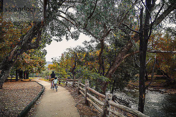 Rückansicht von Vater und Sohn beim Radfahren auf einem Fußweg im Herbst