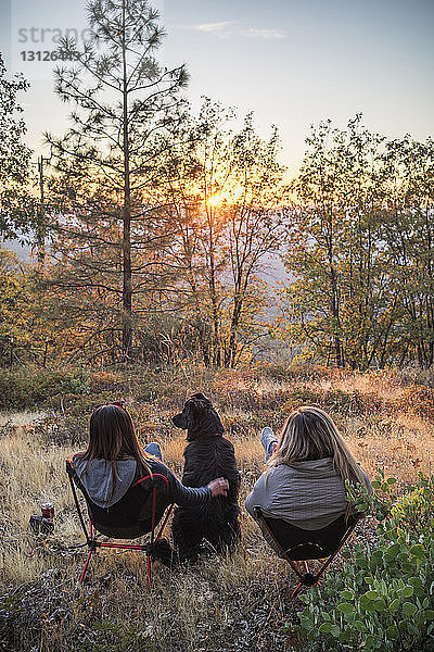 Rückansicht von Freundinnen mit Hund  die bei Sonnenuntergang auf einem Feld im Wald sitzen