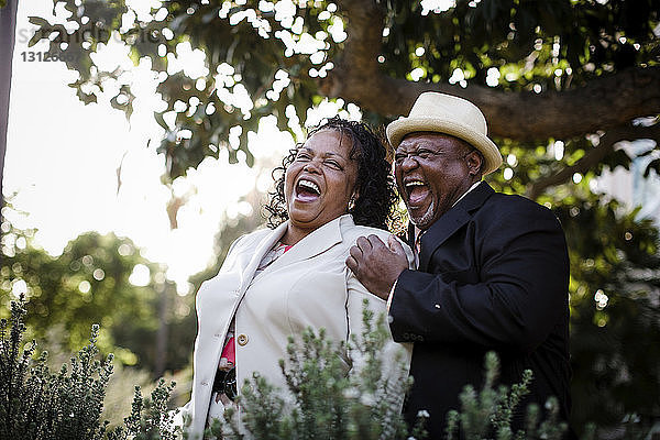 Glückliches älteres Ehepaar lacht im Park stehend