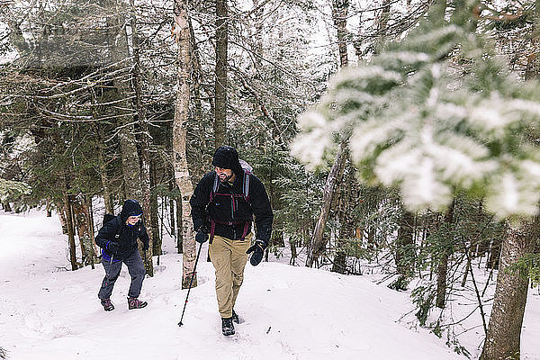 Freunde in voller Länge mit Wanderstöcken erkunden im Winter den Wald